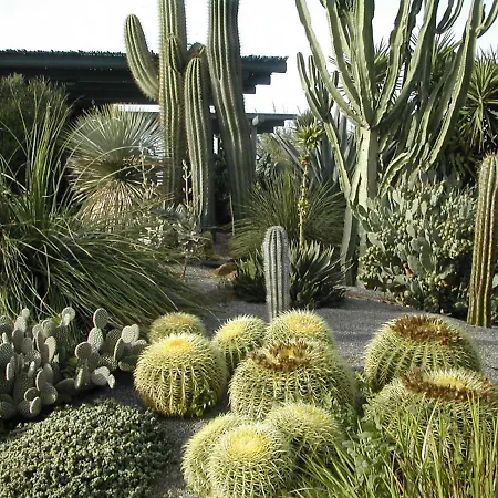 Residenza Delle Palme *